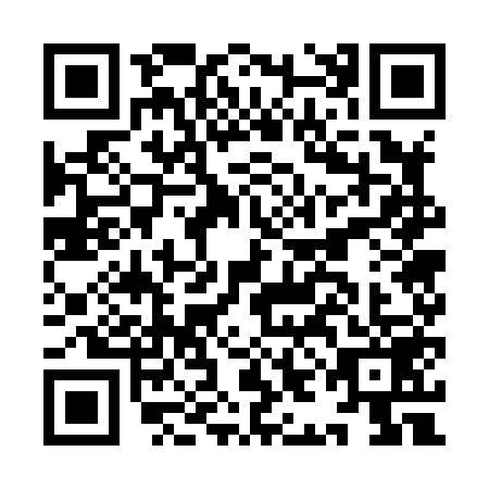 QR code for IIG-8593