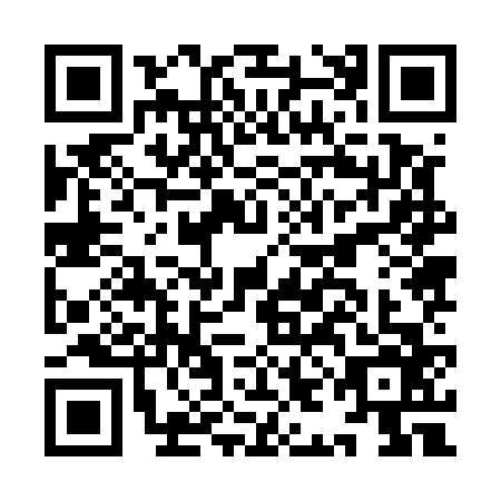 QR code for IIJ-5667