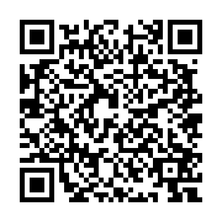 QR code for IIJ4039