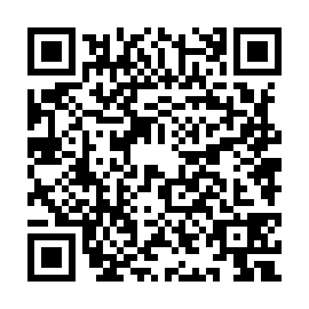 QR code for IIN9383