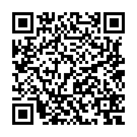 QR code for IIS-8295