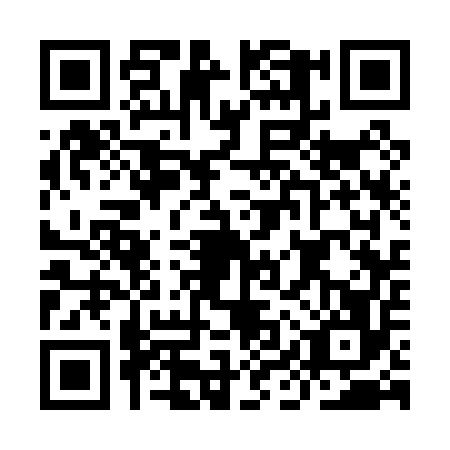 QR code for IIS0565