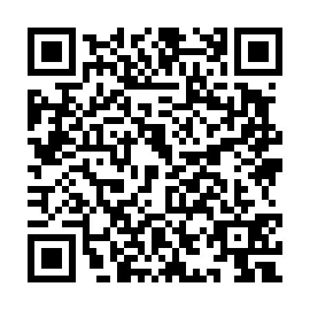 QR code for IIY-4317