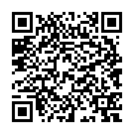 QR code for IJD-6313
