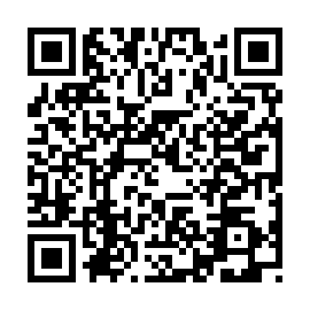 QR code for plate IJE-9308