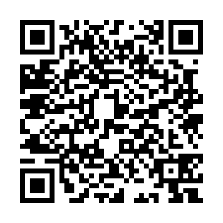 QR code for IJK0384