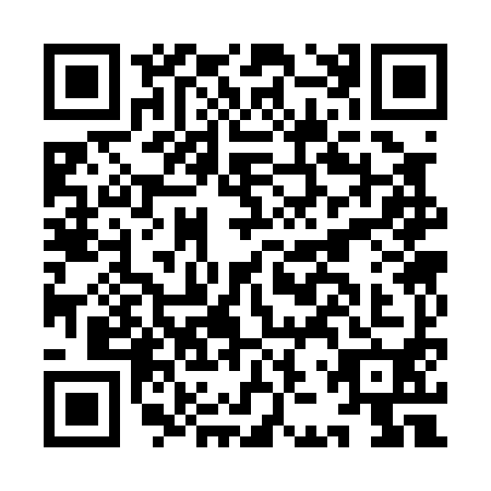 QR code for plate IJS-0908