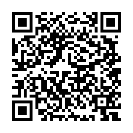 QR code for INB-4533
