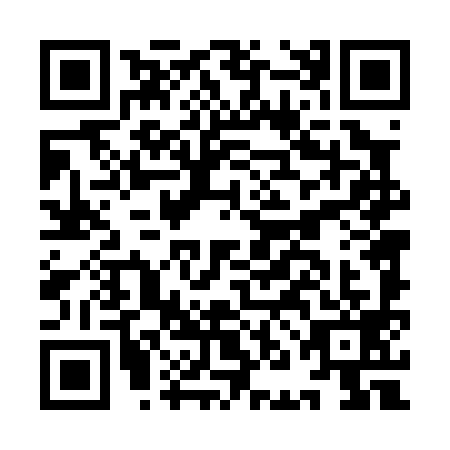 QR code for plate IND-0993