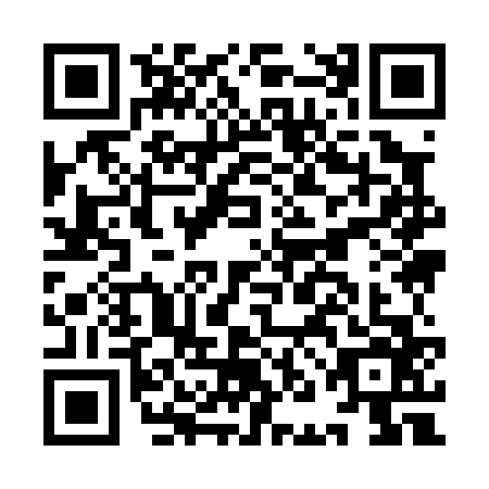 QR code for INI0663