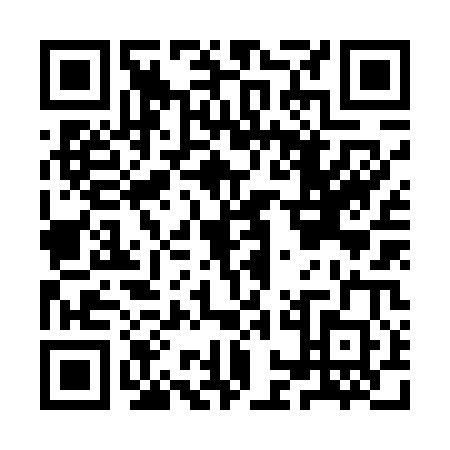 QR code for plate ION-4003