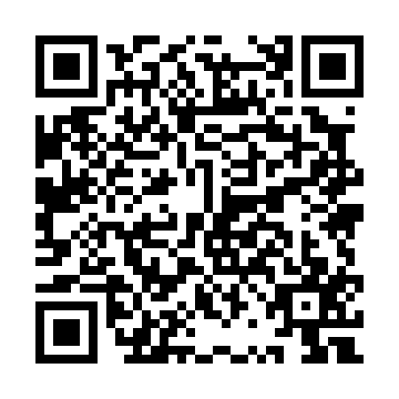 QR code for IRM0173