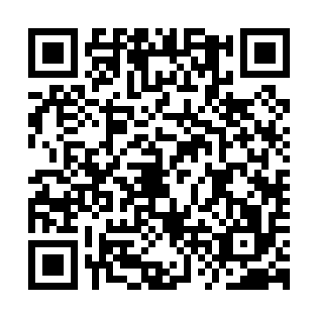 QR code for plate IVB-0163