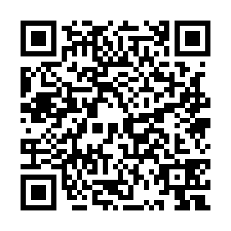 QR code for plate IVQ-1381