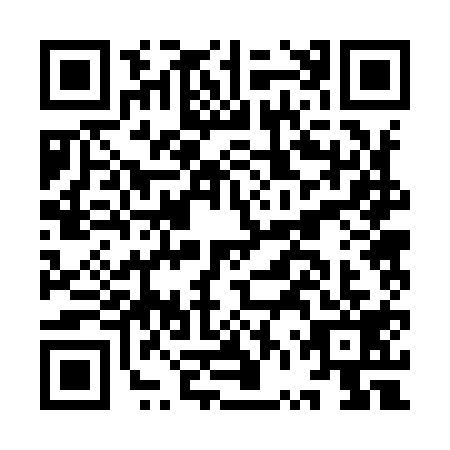 QR code for IVR9196