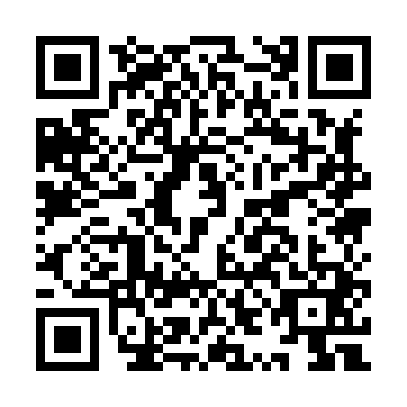 QR code for plate IYA-8411