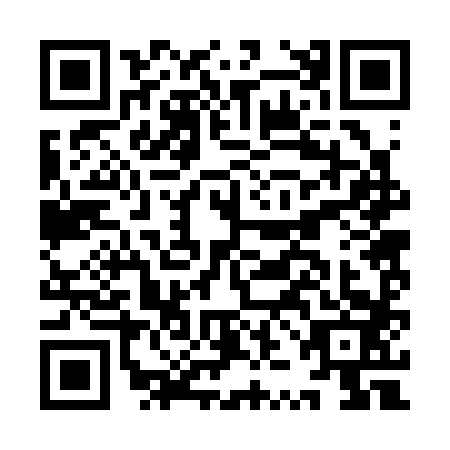 QR code for plate IZB-3832