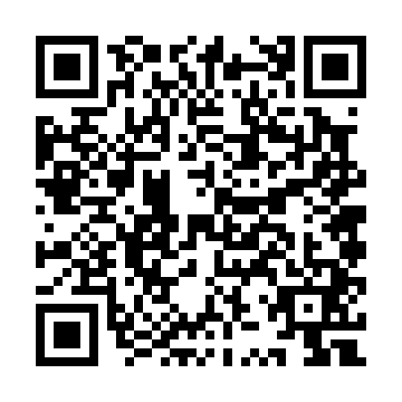 QR code for plate IZV-0417