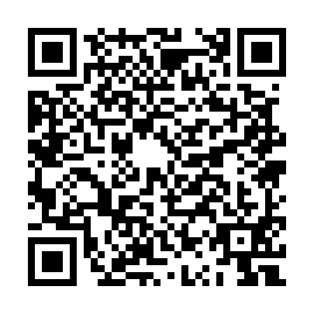 QR code for plate JQQ-5919