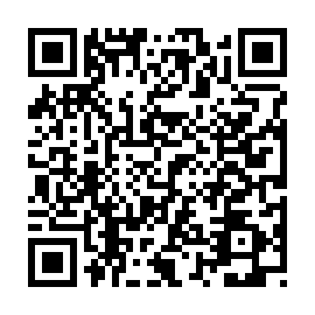QR code for JXD3828