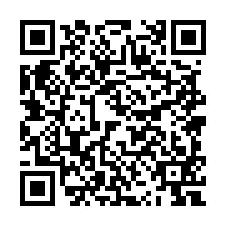 QR code for plate JZM-5938
