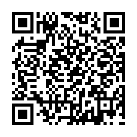 QR code for JZT-6541