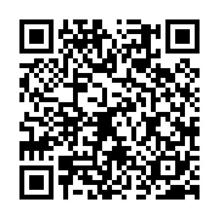 QR code for plate KDX-0704