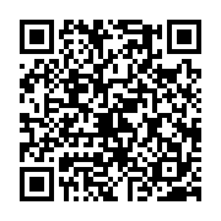 QR code for plate KLP-3325