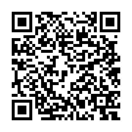 QR code for plate KMR-0339