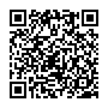 QR code for plate KOK-2903
