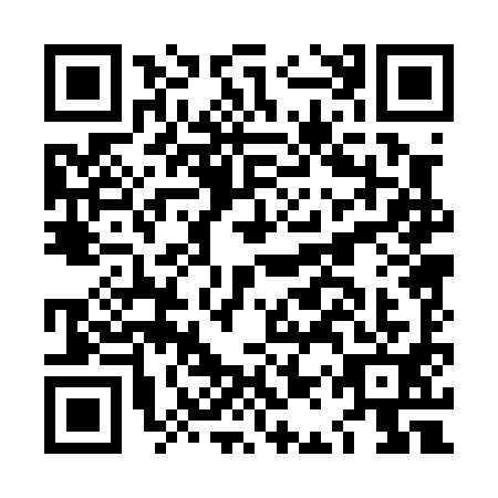 QR code for LAP-0911
