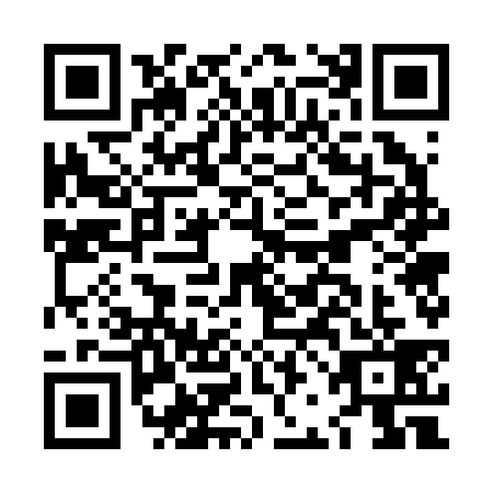 QR code for LBG2393