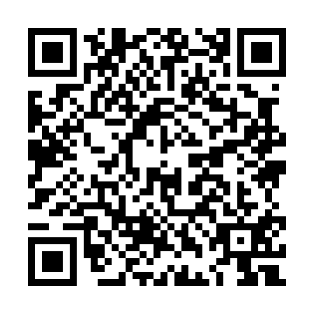 QR code for LDI-0110
