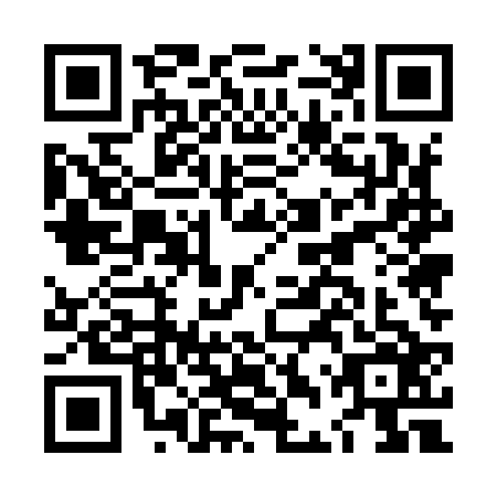 QR code for plate LDU-9267