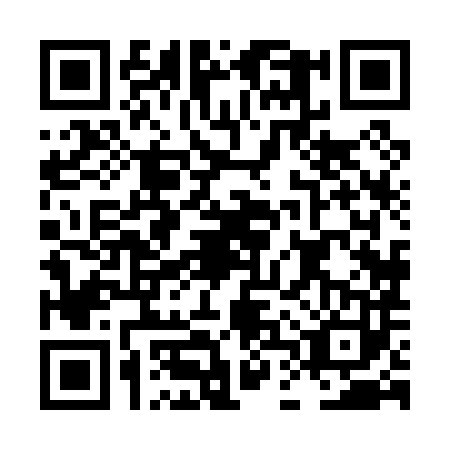 QR code for LDX-0833