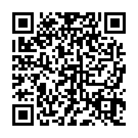 QR code for LDX-1309