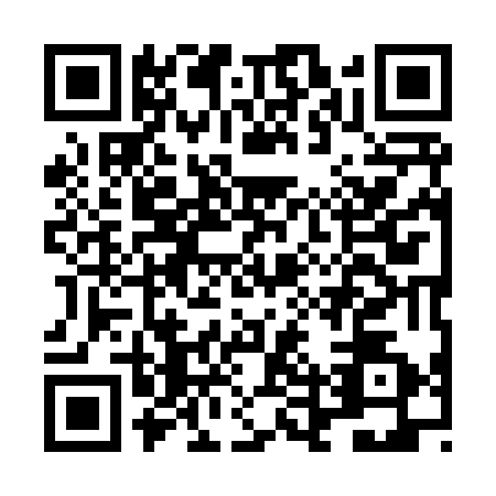 QR code for LDY-8728