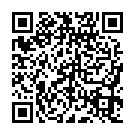 QR code for plate LDY-8713
