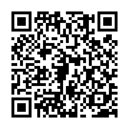 QR code for plate LEO-4980