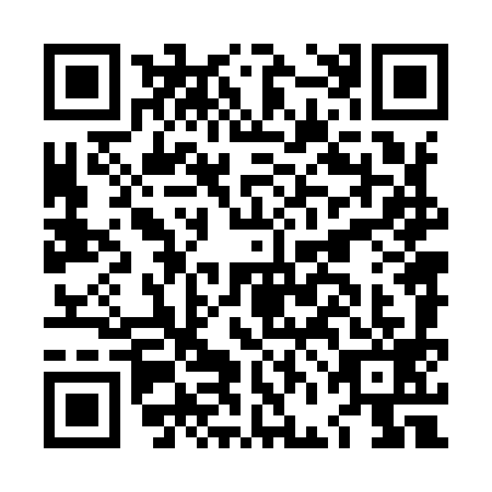 QR code for plate LFN-9993