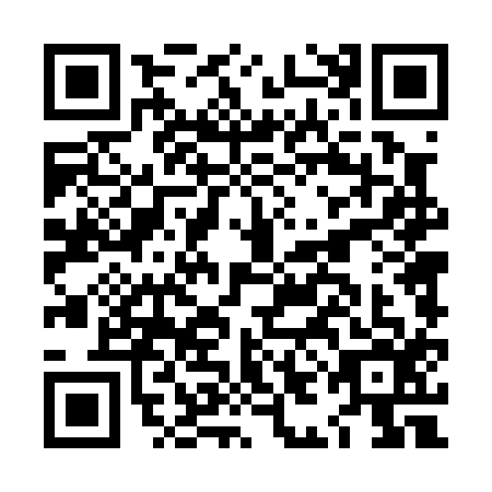 QR code for LID-0161