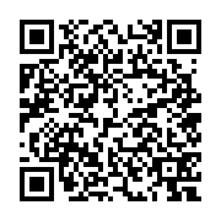 QR code for LIG-3729