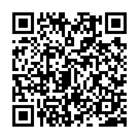 QR code for LIN6033