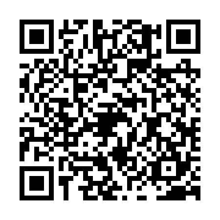 QR code for plate LIR-2741