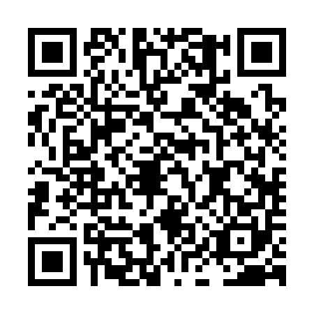 QR code for plate LIR-3506
