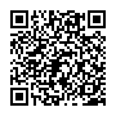QR code for plate LIV-0011