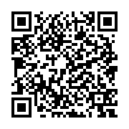 QR code for plate LKH-6338