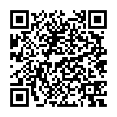 QR code for LKZ-4383