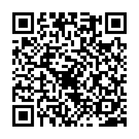 QR code for plate LNK-3685