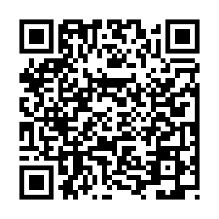 QR code for LPG-0489